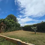 Apartman Oli 2